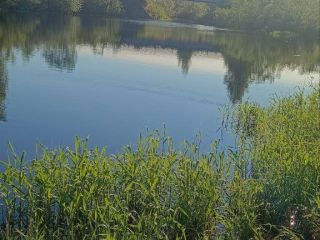 Продам земельный участок документы на руках фото 4 Чудово