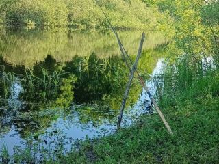 Продам земельный участок документы на руках фото 5 Чудово