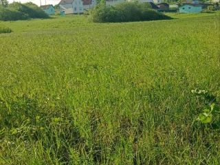 Продам земельный участок документы на руках фото 6 Чудово