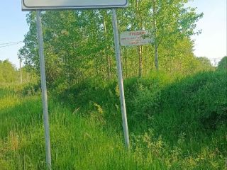 Продам земельный участок документы на руках фото 8 Чудово