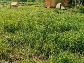 Продам земельный участок документы на руках фото 11 Чудово