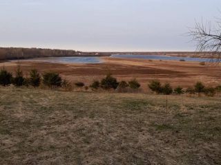 Продам земельный участок документы на руках фото 14 Чудово