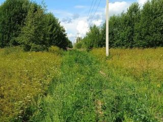 Продам земельный участок документы на руках фото 15 Чудово