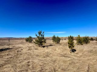 Продам участок земли фото 3 Красноярск