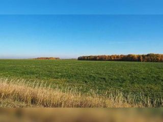 Продам земельный участок под личное подсобное хозяйство фото Рославль