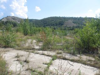 Продается участок земли фото 6 Жигулёвск