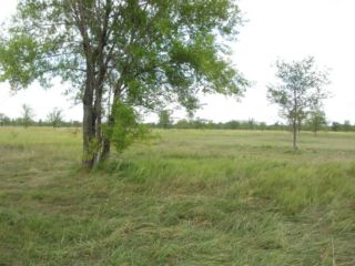 Продам зем участок подключена канализация есть электричество фото 5 Тольятти