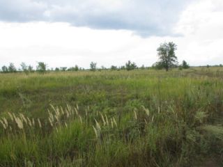 Продам зем участок подключена канализация есть электричество фото 6 Тольятти