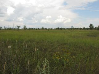 Продам зем участок подключена канализация есть электричество фото 7 Тольятти