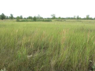 Продается участок земли подключена канализация есть электричество фото 3 Тольятти