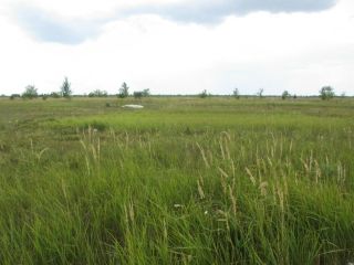 Продается участок земли подключена канализация есть электричество фото 7 Тольятти