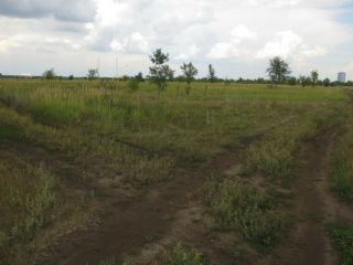 Продается участок земли подключена канализация есть электричество фото 9 Тольятти