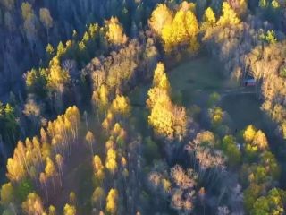 Продаю участок земли документы на руках фото 3 Старица