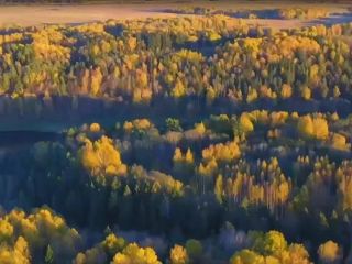 Продаю участок земли документы на руках фото 13 Старица