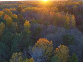 Продаю участок земли документы на руках фото 14 Старица