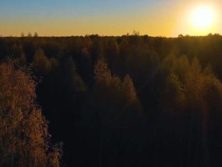 Продаю участок земли документы на руках фото 18 Старица