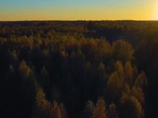 Продаю участок земли документы на руках фото 19 Старица