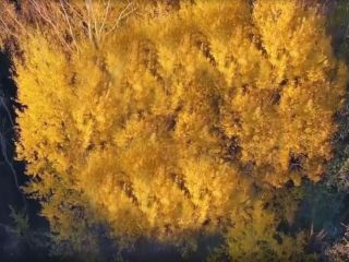 Продаю участок земли документы на руках фото 20 Старица