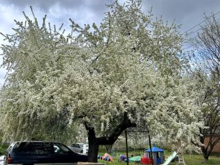 Продам 2 комнатную квартиру с мебелью фото 17 Краснодар