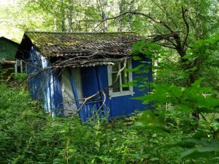 Продам нежилое помещение фото 8 Лысково