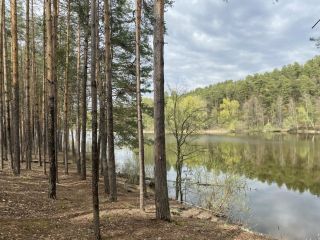Продам нежилое помещение рядом асфальт есть электричество фото Лаишево