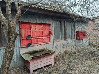 Продаю нежилое помещение рядом асфальт фото 11 Ростов-на-Дону