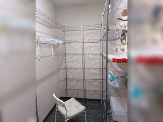 Продаю однокомнатную квартиру документы готовы фото 8 Видное