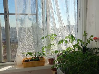 Продается трехкомнатная квартира косметический ремонт пластиковые окна фото 8 Ногинск