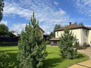 Продаю дом рядом асфальт подключена канализация фото 5 Санкт-Петербург