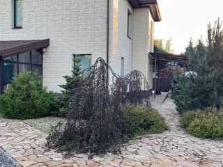 Продаю дом рядом асфальт подключена канализация фото 48 Санкт-Петербург
