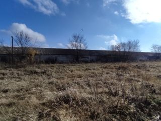 Продается помещение свободного назначения фото 13 Саратов