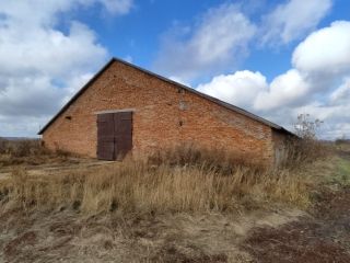 Продам помещение свободного назначения фото 6 Саратов