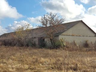 Продам помещение свободного назначения фото 17 Саратов