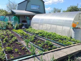 Продаю кирпичный дом без посредников рядом асфальт фото 2 Пенза