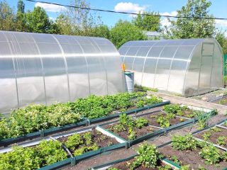 Продаю кирпичный дом без посредников рядом асфальт фото 6 Пенза