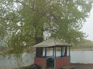 Продам 1 комнатную квартиру взрослый собственник фото 13 Красноярск