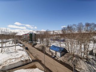 Продам трехкомнатную квартиру фото 31 Елизово