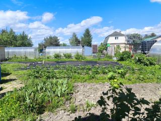 Продам дачу беловая отделка с плодоносящим садом фото 5 Дубна