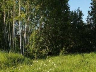 Продам земельный участок документы в полном порядке фото 2 Судогда