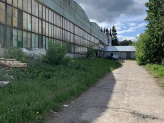 Продаю помещение свободного назначения фото 5 Чехов