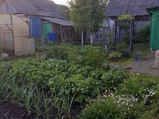 Продается деревянный дом косметический ремонт пластиковые окна с газовым отоплением фото 3 Сельцо
