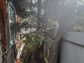 Продам дачу косметический ремонт есть баня фото 3 СНТ Восток 3