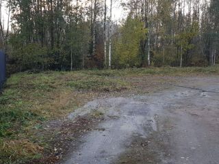 Продаю зем участок своя скважина фото 3 Всеволожск