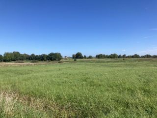 Продам зем участок фото 4 Зеленоградск