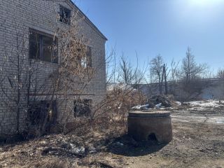 Продается помещение свободного назначения фото 4 Починок
