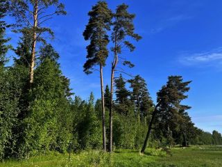 Продам участок земли на первой линии документы готовы фото 2 Александровка