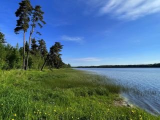 Продам участок земли на первой линии документы готовы фото 6 Александровка