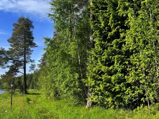 Продам участок земли на первой линии документы готовы фото 12 Александровка
