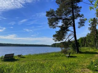 Продам участок земли на первой линии документы готовы фото 14 Александровка