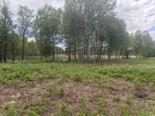 Продается зем участок на первой линии подъезд круглый год фото 5 Приозерск